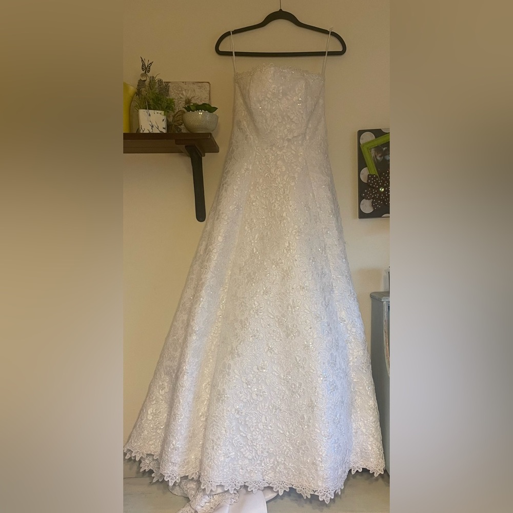 David’s Bridal Gown
